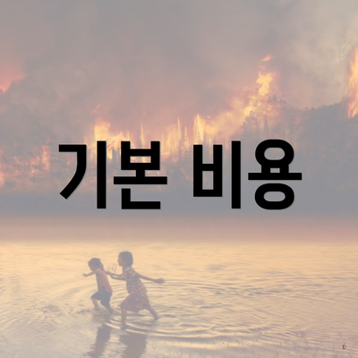 기본 비용