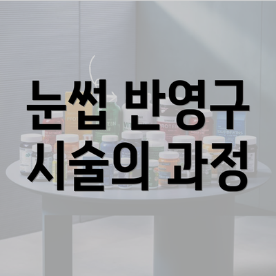 눈썹 반영구 시술의 과정