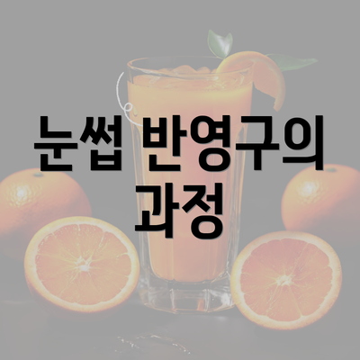 눈썹 반영구의 과정