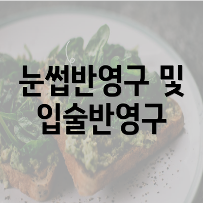 눈썹반영구 및 입술반영구