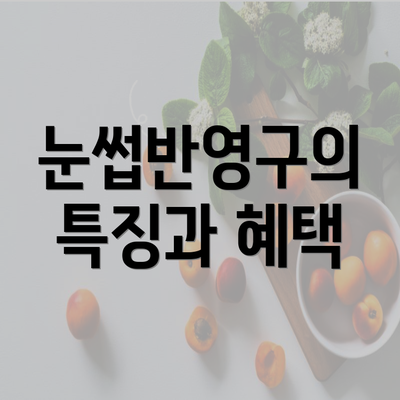 눈썹반영구의 특징과 혜택