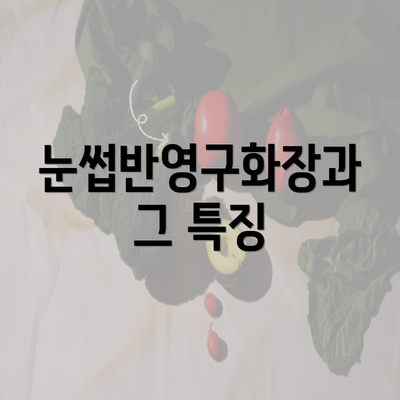 눈썹반영구화장과 그 특징