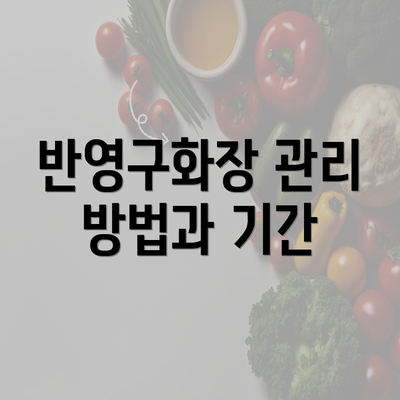 반영구화장 관리 방법과 기간