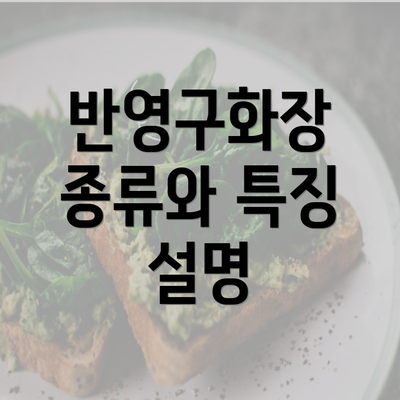 반영구화장 종류와 특징 설명