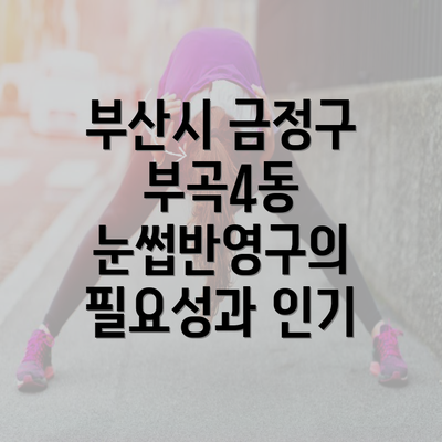 부산시 금정구 부곡4동 눈썹반영구의 필요성과 인기