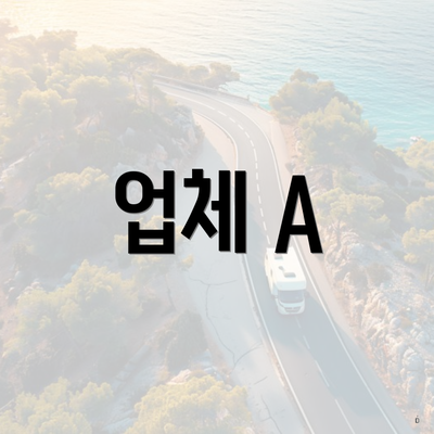 업체 A