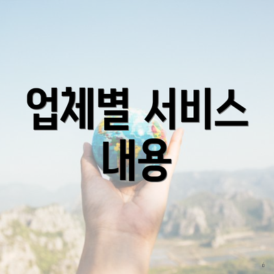 업체별 서비스 내용