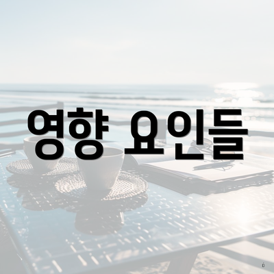 영향 요인들