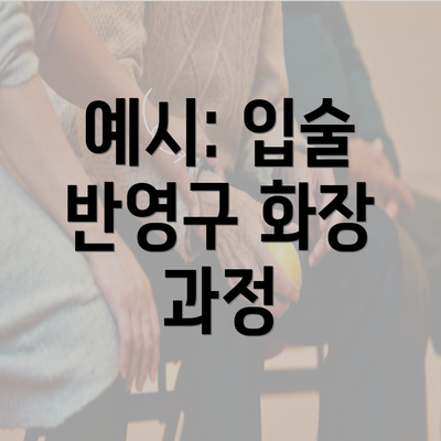 예시: 입술 반영구 화장 과정