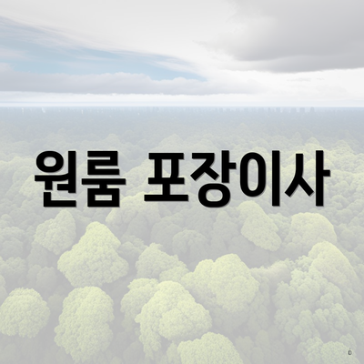 원룸 포장이사