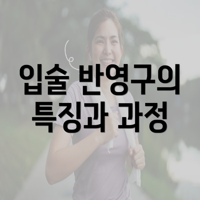 입술 반영구의 특징과 과정