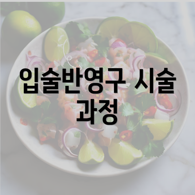 입술반영구 시술 과정