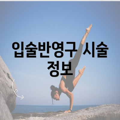 입술반영구 시술 정보