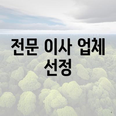 전문 이사 업체 선정