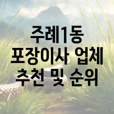 주례1동 포장이사 업체 추천 및 순위