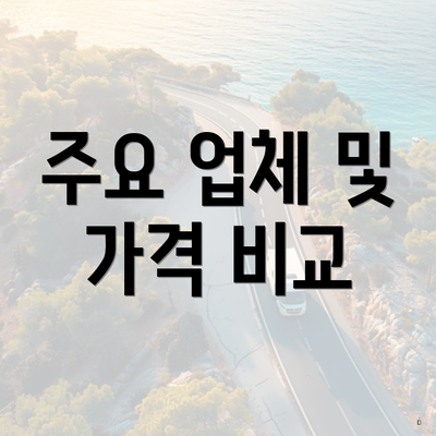 주요 업체 및 가격 비교