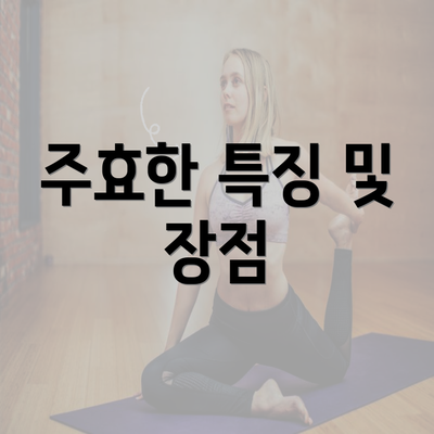 주효한 특징 및 장점