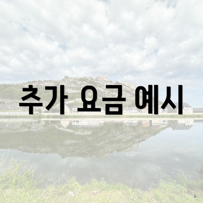 추가 요금 예시