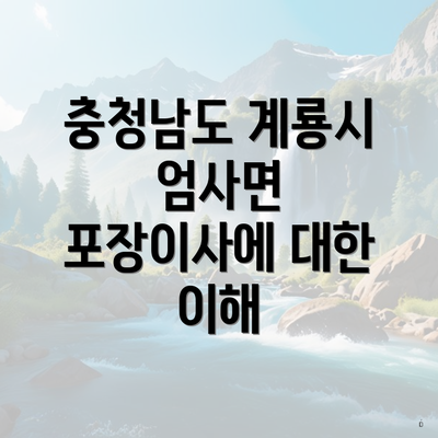 충청남도 계룡시 엄사면 포장이사에 대한 이해