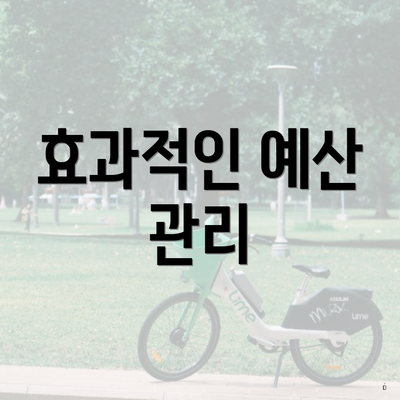 효과적인 예산 관리