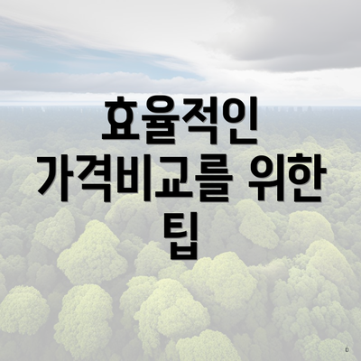 효율적인 가격비교를 위한 팁