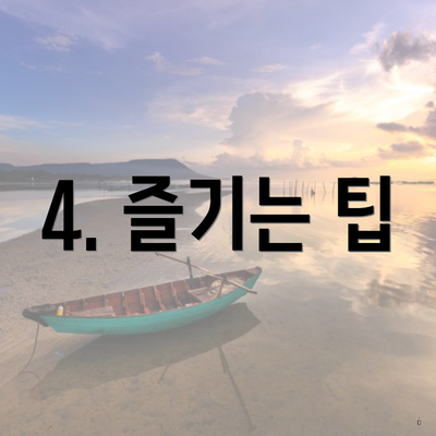 4. 즐기는 팁