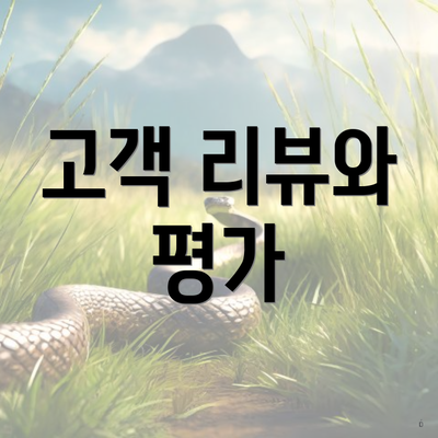 고객 리뷰와 평가