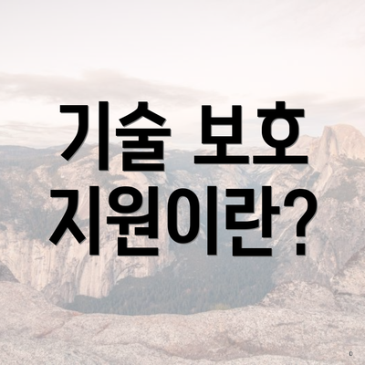 기술 보호 지원이란?