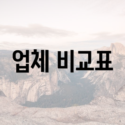 업체 비교표