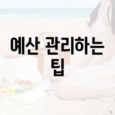 예산 관리하는 팁