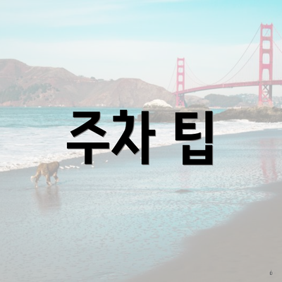 주차 팁