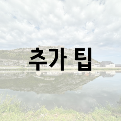 추가 팁