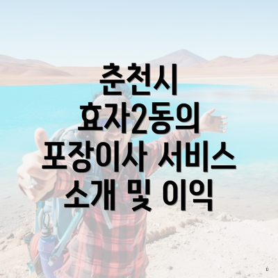 춘천시 효자2동의 포장이사 서비스 소개 및 이익