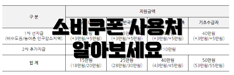 소비쿠폰 사용처 알아보세요