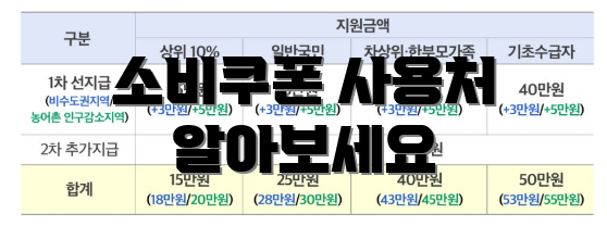 소비쿠폰 사용처 알아보세요