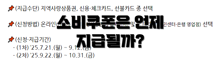소비쿠폰은 언제 지급될까?