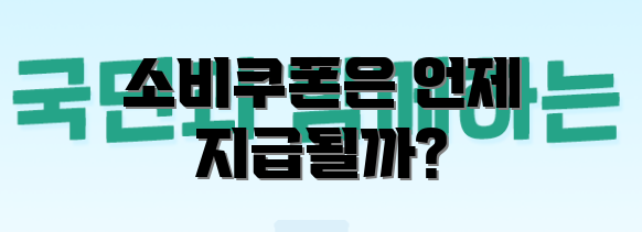 소비쿠폰은 언제 지급될까?