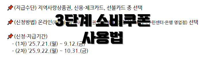 3단계 소비쿠폰 사용법
