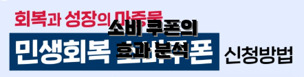 소비 쿠폰의 효과 분석