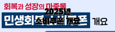 2025년 소비쿠폰 개요