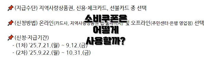 소비쿠폰은 어떻게 사용할까?