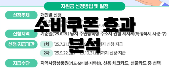 소비쿠폰 효과 분석