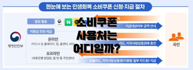 소비쿠폰 사용처는 어디일까?