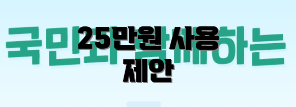 25만원 사용 제안