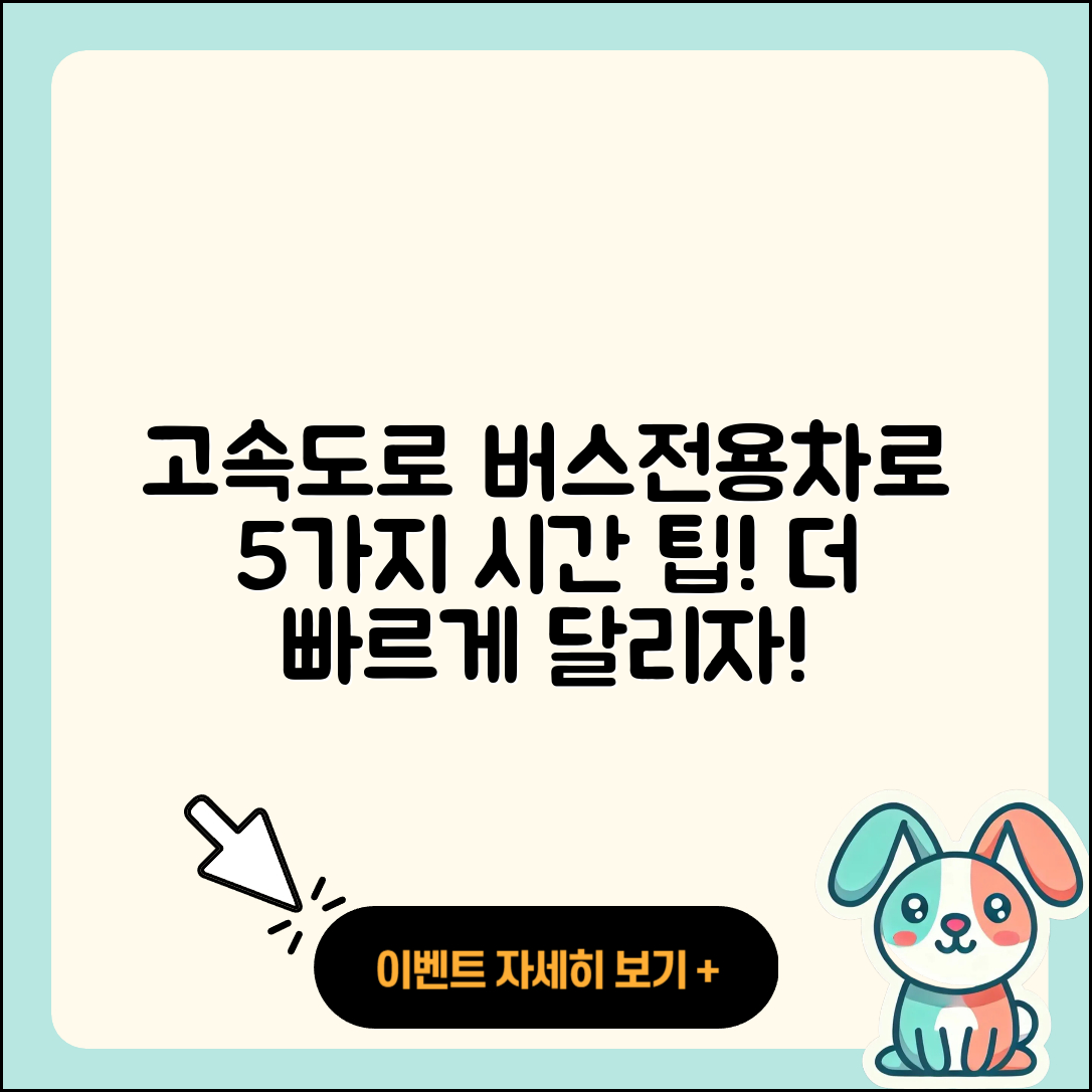 경부 고속도로 버스전용차로 시간 5가지 팁