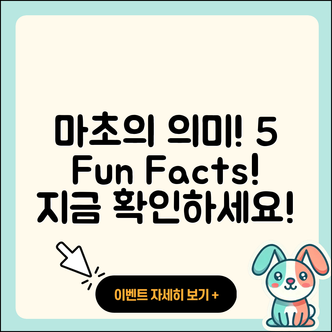 마초 뜻과 5가지 재미있는 사실