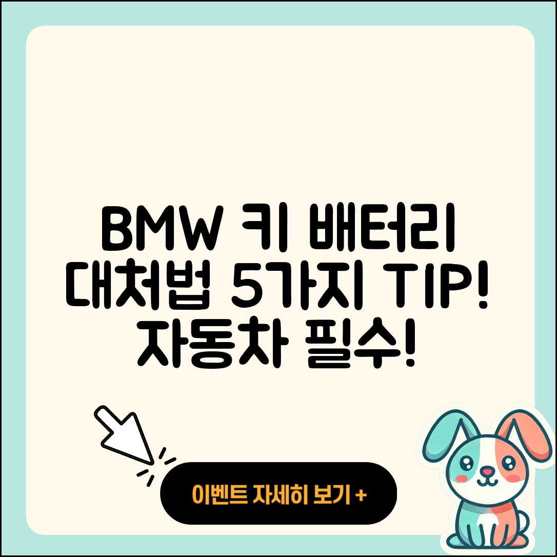 BMW 자동 키 배터리 방전 시 대처법 5가지